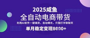 全网首发【闲鱼全自动电商带货】三年磨一剑，一朝露锋芒，单月稳定变现8k+【揭秘】-网创星球