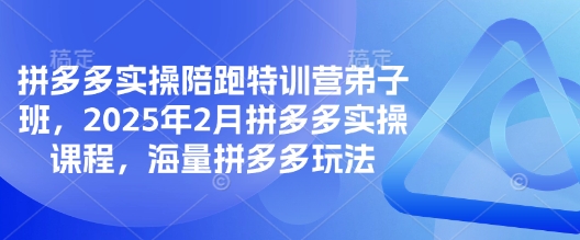 拼多多实操陪跑特训营弟子班,2025年2月拼多多实操课程,海量拼多多玩法-网创星球