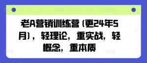 老A营销训练营(更25年3月)，轻理论，重实战，轻概念，重本质-网创星球