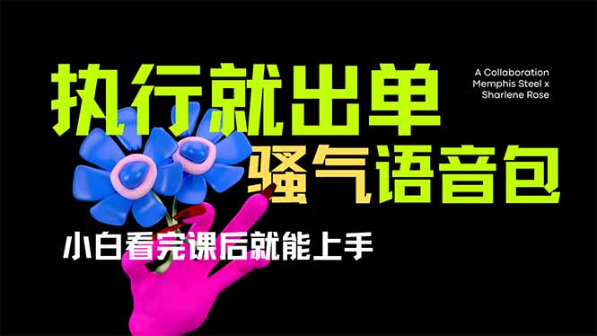 爆火全网的开车导航骚气语音包,只要执行就出单,小白看完课程就能实操…-网创星球