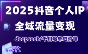 2025抖音个人IP全域流量变现进阶课，deepseek千川爆单进阶课-网创星球