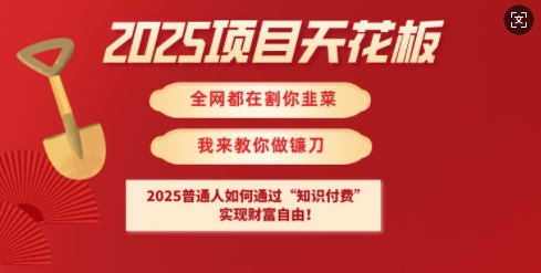 2025项目天花板普通人如何通过知识付费,实现财F自由【揭秘】-网创星球