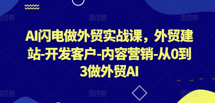 AI闪电做外贸实战课，​外贸建站-开发客户-内容营销-从0到3做外贸AI(更新)-网创星球