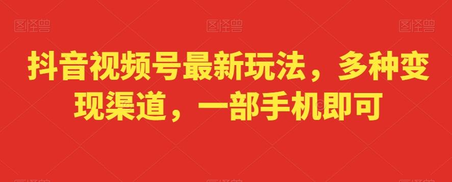 抖音视频号最新玩法，多种变现渠道，一部手机即可-网创星球