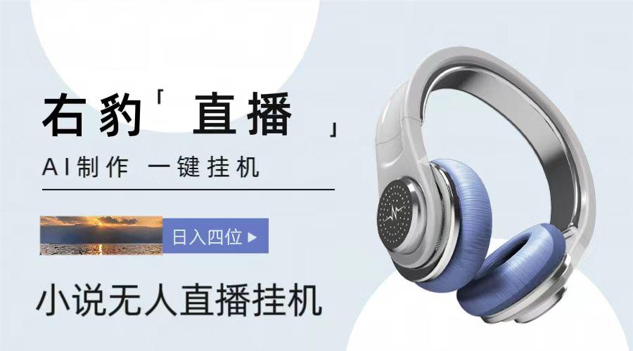 右豹小说无人直播挂机吸金项目,简单易行收益稳定, 月入1000+-网创星球