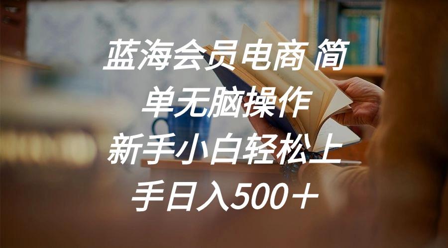 蓝海会员电商 简单无脑操作 新手小白轻松上手日入500＋-网创星球