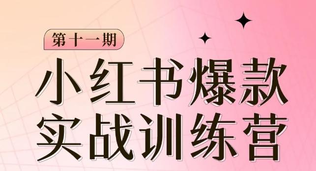 小红书博主爆款训练营第11期，手把手教你从0-1做小红书，从定位到起号到运营-网创星球