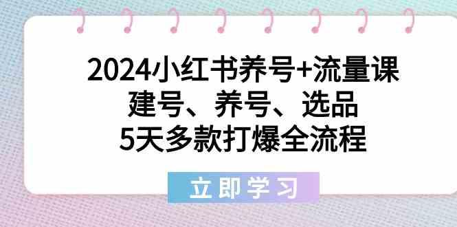 2024小红书养号+流量课:建号、养号、选品,5天多款打爆全流程-网创星球