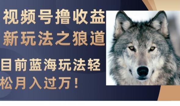 视频号撸收益新玩法之狼道，目前蓝海玩法，轻松月入过万【揭秘】-网创星球