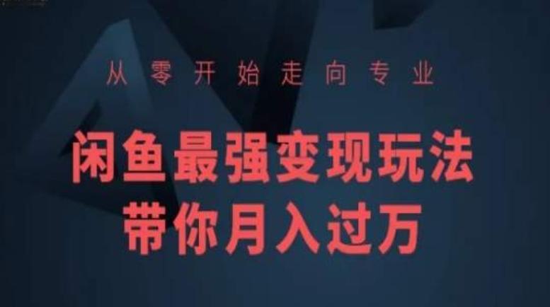 从零开始走向专业，闲鱼最强变现玩法带你月入过万-网创星球