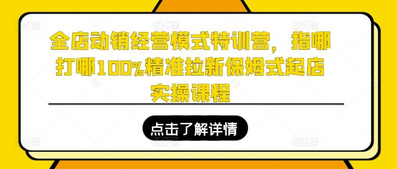 全店动销经营模式特训营，指哪打哪100%精准拉新保姆式起店实操课程-网创星球