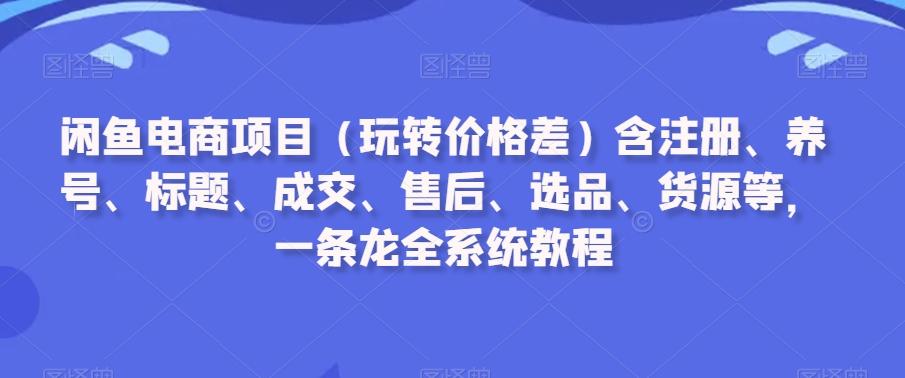 闲鱼电商项目(玩转价格差)含注册、养号、标题、成交、售后、选品、货源等，一条龙全系统教程-网创星球