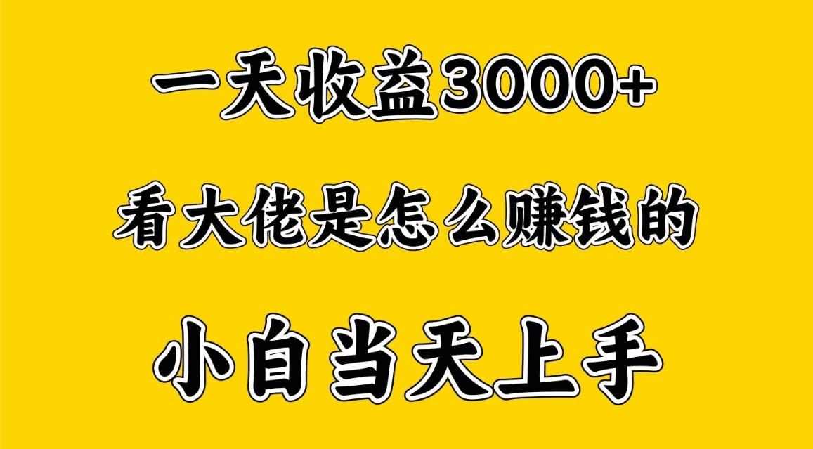 一天赚3000多，大佬是这样赚到钱的，小白当天上手，穷人翻身项目-网创星球