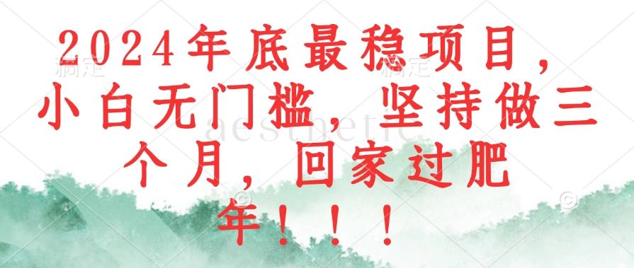 2024年底最稳项目,小白无门槛,坚持做三个月,回家过肥年!!!-网创星球
