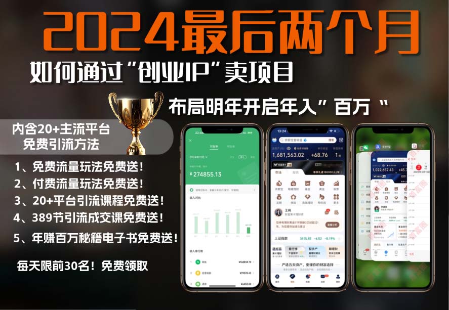 2024最后两个月如何通过”创业IP“卖项目年入”百万“,创业IP+最强引流...-网创星球