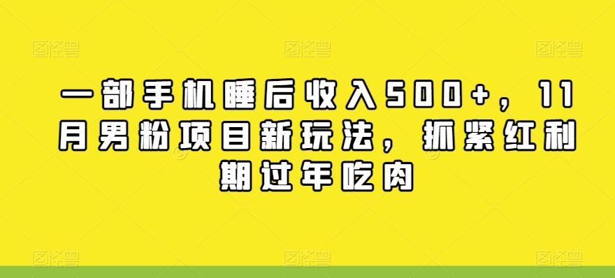 一部手机睡后收入500+,11月男粉项目新玩法,抓紧红利期过年吃肉