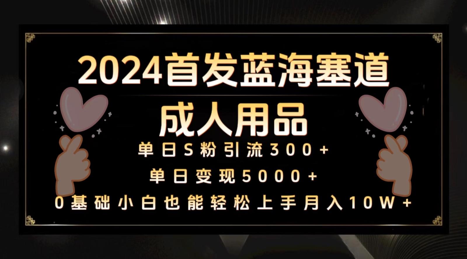 2024首发蓝海塞道成人用品,月入10W+保姆教程-网创星球