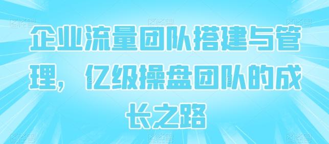 企业流量团队搭建与管理，亿级操盘团队的成长之路-网创星球