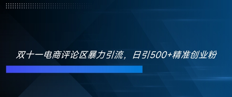 双十一电商评论区暴力引流,日引500+精准创业粉【揭秘】