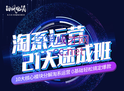 淘系运营21天速成班(更新24年6月)-网创星球